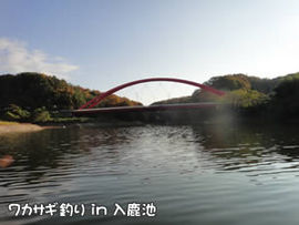 �킩������ in �����r