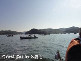 �킩������ in �����r